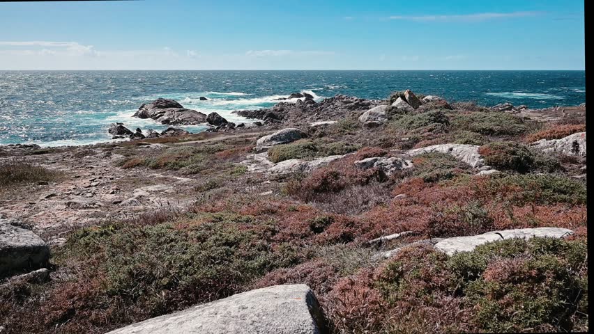 Wild, rugged coastline in Galicia, Spain, showing the untamed beauty of nature with powerful ocean waves crashing against the rocky shore under a clear blue sky on a sunny summer day