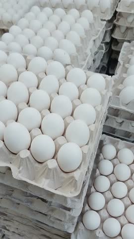 4k vertical video footage, full hd 1080, White eggs food photo, carton container, eat egg yolk, protein, groceries, culinary, eggshell, health fresh fragile chicken egg, selective focus, Cairo Egypt