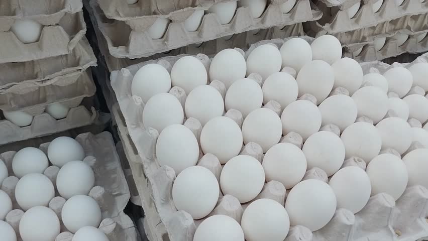 4k video footage, full hd 1080, White eggs food photo, carton container, eat egg yolk, protein, groceries, culinary, eggshell, health fresh fragile chicken egg, selective focus, Cairo Egypt