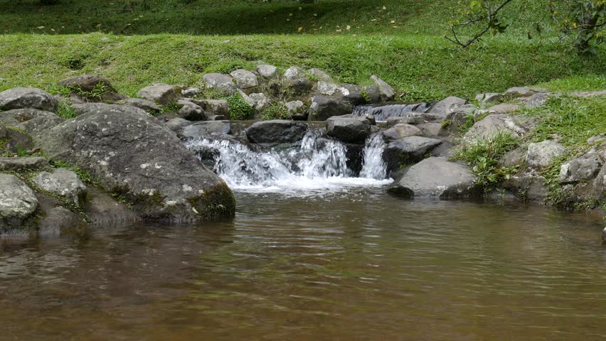 Looped 4K footage of clear stream gently flowing over rocks toward a natural pond in a green mountain park, perfect for relaxation and background scenes