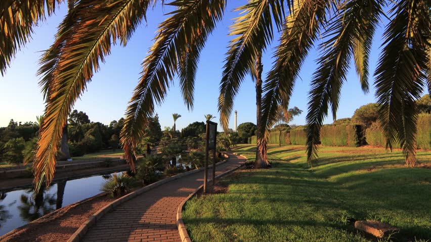 Peaceful path with palm trees and pond at sunset in José Celestino Mutis Botanical Park, Palos de la Frontera, Huelva, Spain. Nature and travel concept.