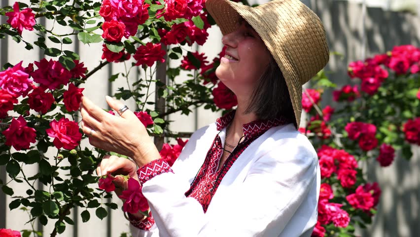 Portrait of adult smiling woman wearing a traditional ukrainian vyshyvanka among blooming red roses in summer garden. This scene expresses femininity, cultural heritage and national identity