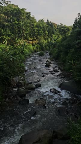 A rapid river with strong currents flows over and around large rocks, creating white water and a small cascade, surrounded by a green.