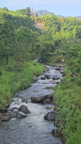 A rapid river with strong currents flows over and around large rocks, creating white water and a small cascade, surrounded by a green.