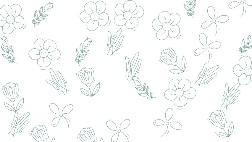 Floral Outlines Delicate Botanical Designs for Creative Projects