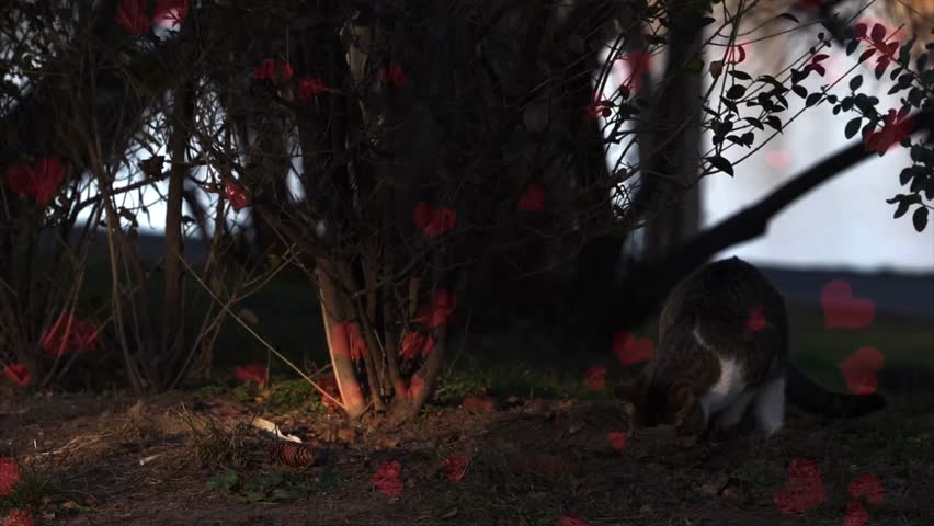 Animated cat scratching ground under tree with flying hearts