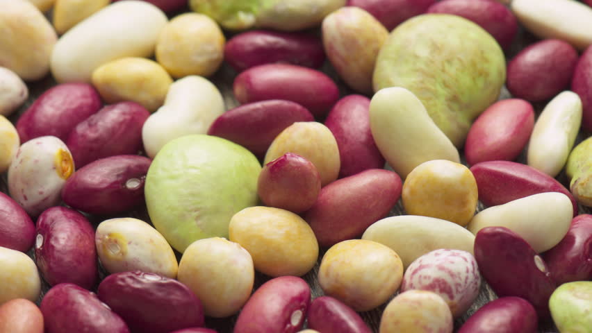 Fresh beans of different varieties and sizes on wooden table. Macro shot. Closeup view of colorful beans. Product of organic farming. Healthy eco vegetarian food.