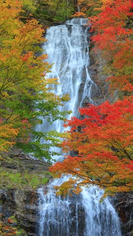waterfall and trees in autumn forest