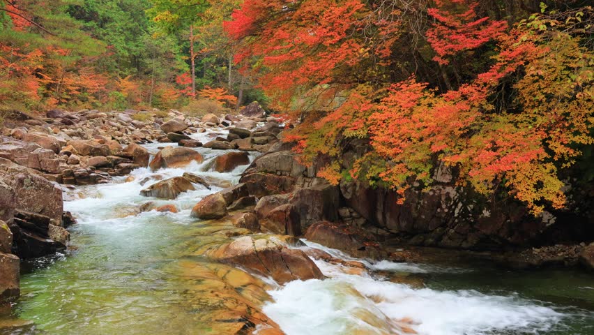 waterfall and trees in autumn forest