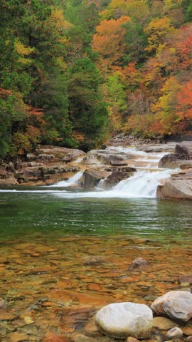 waterfall and trees in autumn forest