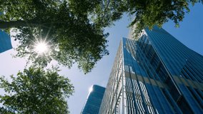 An upward view of a skyscraper against the sky with a tree and sun flare. - Powered by Shutterstock - Get 15% off with code: PIKWIZARD15