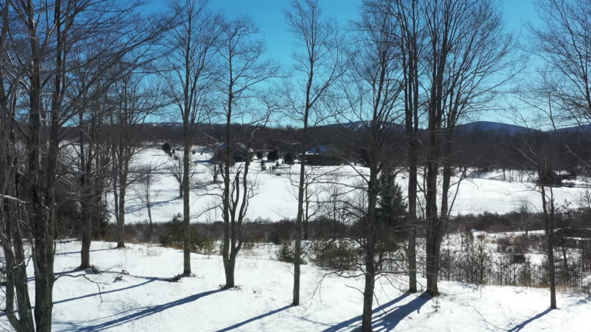 Canaan Valley in West Virginia is seen in winter, with snow-covered fields, cabins, and distant ski slopes under a clear blue sky, as the camera pedestals up.