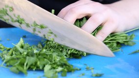 A large metal bowl holds a vibrant mix of fresh, chopped vegetables: purple red cabbage, green lettuce, and colorful red and yellow bell peppers. Perfect for a healthy, refreshing salad or stir-fry ba - Powered by Shutterstock - Get 15% off with code: PIKWIZARD15
