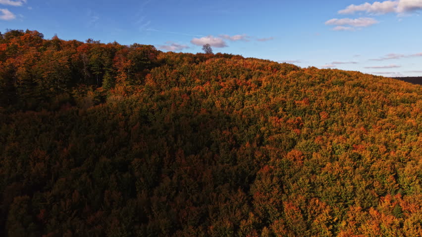 Golden and red leaves cover the lush hillside as sunlight shines through the trees creating a peaceful atmosphere Clouds drift lazily in the background on a beautiful autumn day