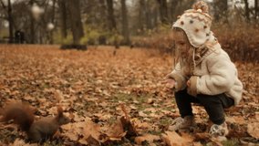 A tender encounter in an autumn park: a child crouched and feeding a squirrel, eyes wide with wonder. Autumn land, autumn calm, warm clothes, a kind gesture, a short story about wildlife in the city - Powered by Shutterstock - Get 15% off with code: PIKWIZARD15