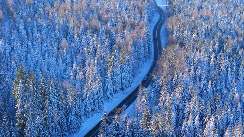 Snow-covered road winds through a forest landscape in winter