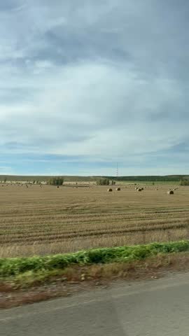 Hay Bales Along Road in Field