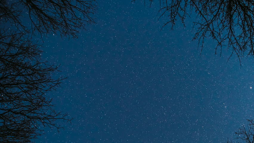 Star Lines Move In Sky. Bright Blue Cosmic Conception. 4k Hyperlapse Spin Trails Of Stars Above Tree Crowns Without Foliage. Amazing Unusual Stars Effects In Sky. Time Lapse, Time-lapse, Timelapse.
