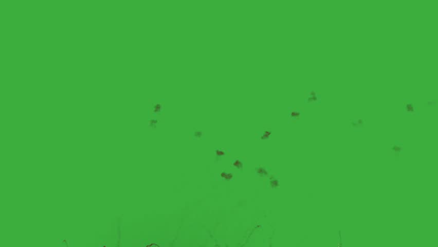 Spectacular Fireworks Display Welcomes the New Year 2026 With Vibrant Colors and Joyful Celebrations in the Night Sky