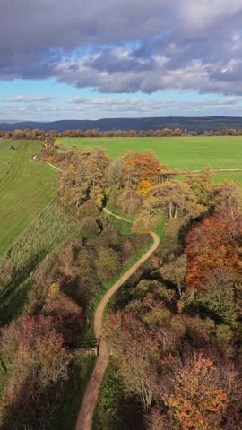 Aerial video of a footpath in surrounded by autumn colors