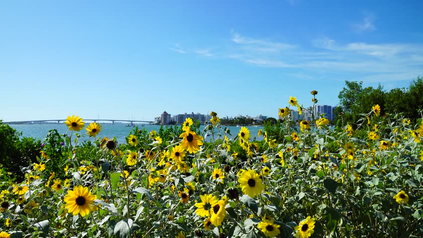 Sarasota, Florida USA - Sep 15, 2025: Marie Selby Botanical Garden and museum at Sarasota	
