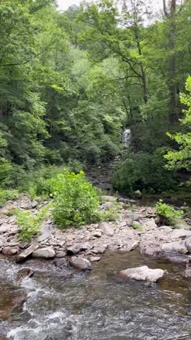 A small creek in the Great Smoky Mountains.