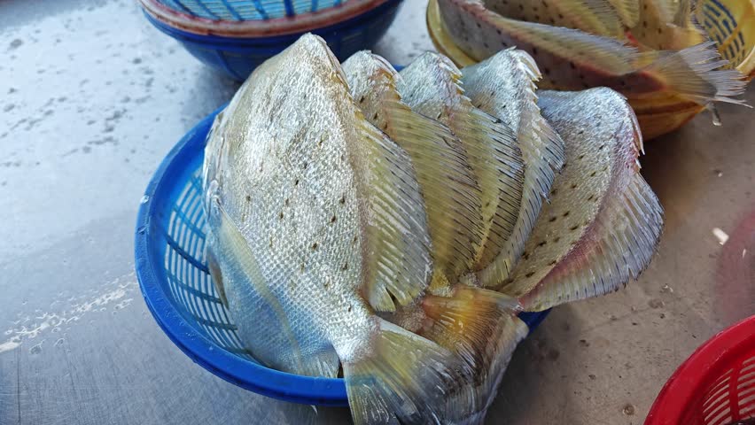 Display of fresh spotted sicklefishes in the plastic containers for sale at the wet market. 