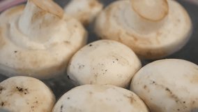  slow motion of mushrooms falling in a pot with water  - Powered by Shutterstock - Get 15% off with code: PIKWIZARD15