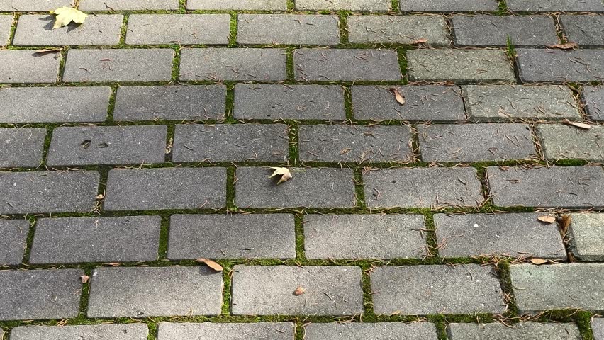 A brick walkway with leaves on the ground.