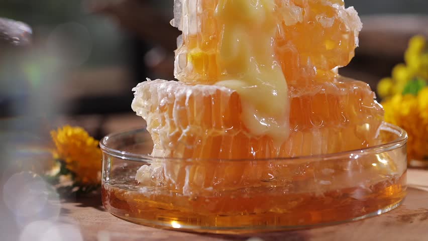 Fresh raw royal jelly is being sprayed on the honeycomb.