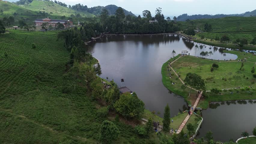 Beautiful aerial view of a serene lake nestled within lush green tea fields and forests. People are seen enjoying the picturesque landscape, walking on paths, and relaxing by the water.