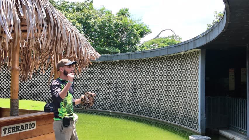 Informative wildlife encounter with a non-venomous reptile, showcasing safe snake handling techniques in a bright, outdoor exhibition setting.
