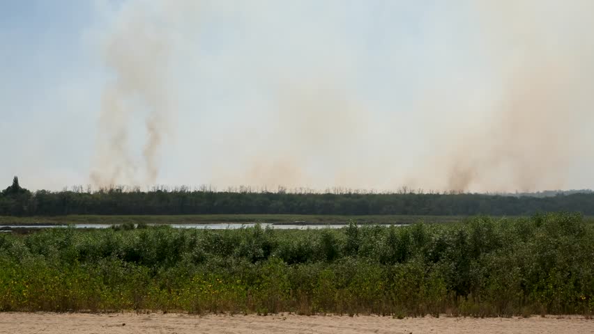 Thick smoke billowing from a forest fire raging on the far bank of a river, creating a hazy sky and polluting the air with a large plume during an intense heatwave in the countryside
