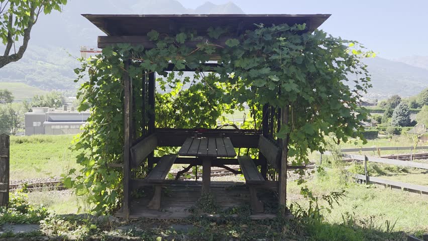 Wooden Gazebo with Picnic Table in Scenic Mountain Landscape