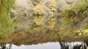 autumn pond mirror reflection golden foliage weeping branches tranquil woodland serenity copy space wallpaper banner - Powered by Shutterstock - Get 15% off with code: PIKWIZARD15