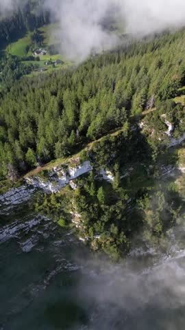 Friedlispitz Swiss Alps alpine forest nature highlands, fog covered valley Switzerland