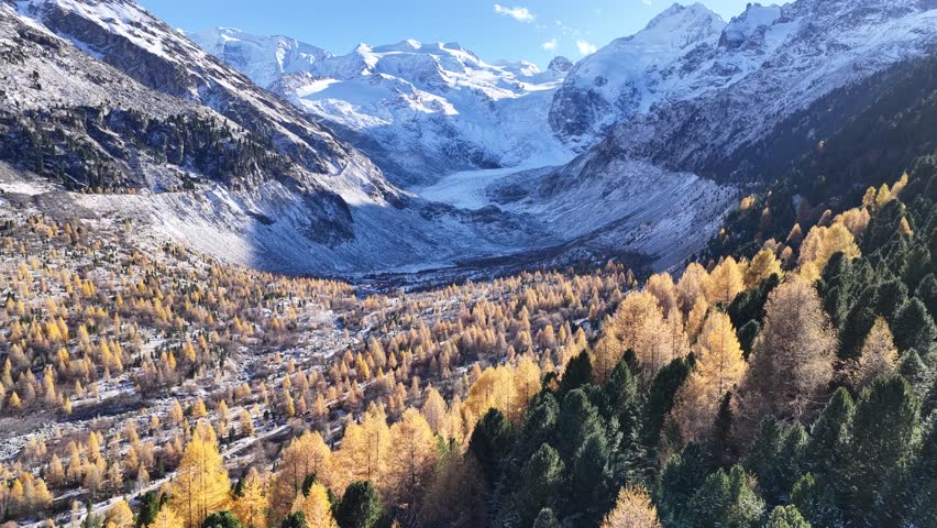 Aerial view of golden autumn forest and snowy Swiss Alps under soft afternoon light in the Engadin valley.