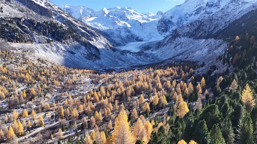 Aerial view of Engadin Valley in Canton Graubünden, Switzerland, showing snow-covered peaks, alpine forest, and golden autumn larch trees in a pristine mountain landscape.