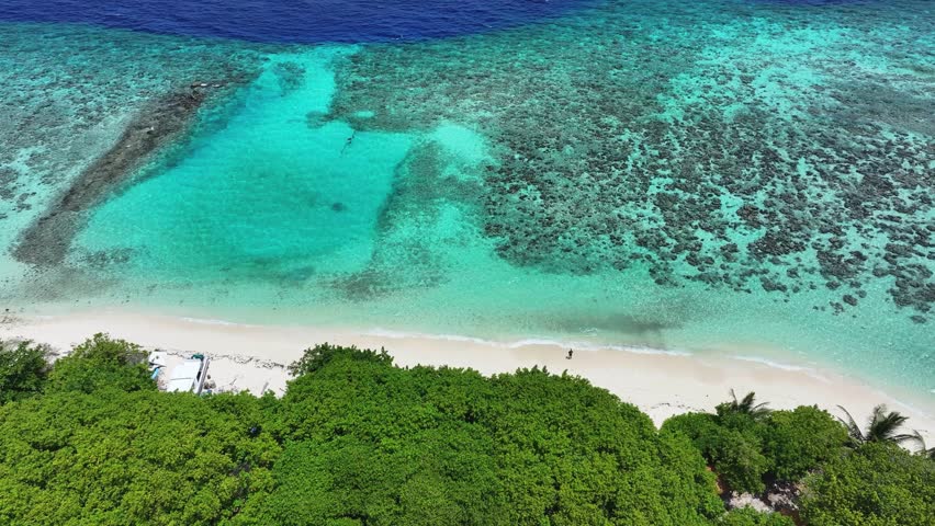 Aerial view of the turquoise waters meeting the sandy beach, next to lush green foliage, Kamadhoo, Baa Atoll, Maldives.