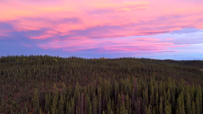Aerial view of a dense forest stretching under a vibrant pink and purple sky at dusk, Lake Louise, Alaska, United States.