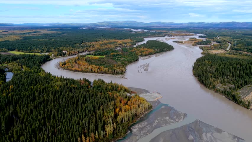 Aerial view of the Delta River winding through a landscape of autumn-colored trees displaying a range of greens, yellows, and oranges, Delta Junction, Alaska, United States.
