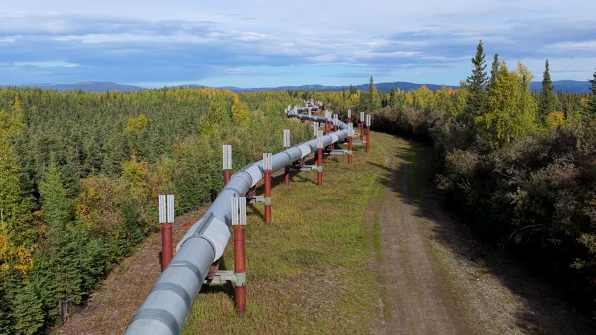 Aerial view of the silver Trans-Alaska Pipeline winding through a vibrant green landscape with trees, grass, and mountains in the background, Fairbanks, Alaska, United States.