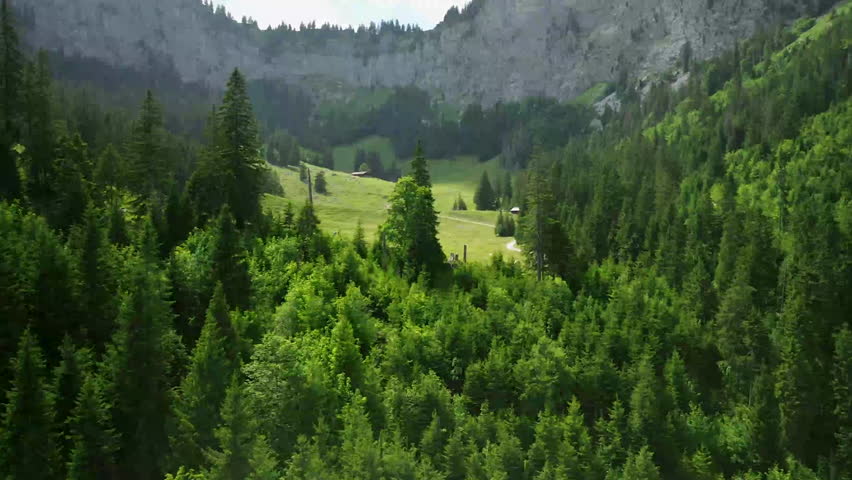Aerial of serene green valley in mountains.