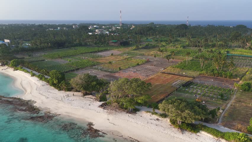 Aerial view of cultivated land contrasting with the turquoise ocean and white sandy beach, creating a beautiful landscape, Thoddoo, Alif Alif Atoll, Maldives.