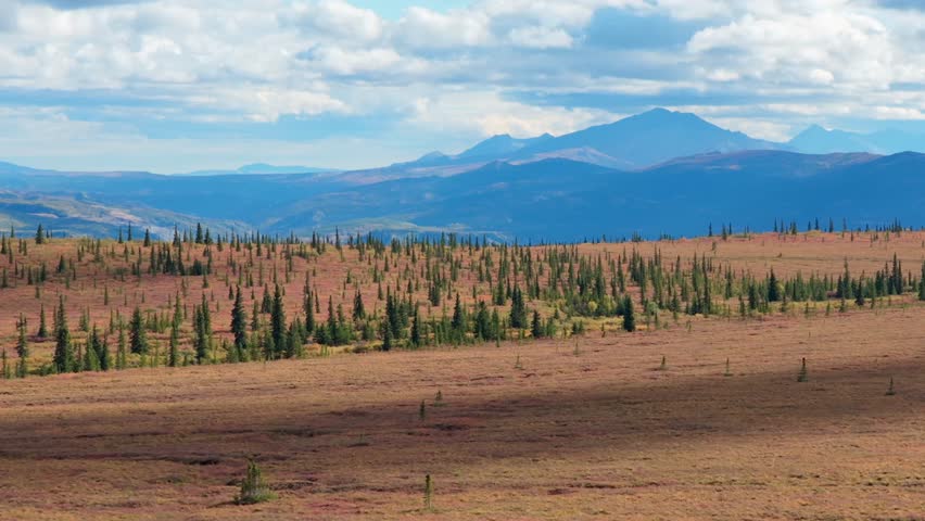Aerial view of the landscape with trees in the foreground and mountains in the background, creating a scene of natural beauty, Healy, Alaska, United States.