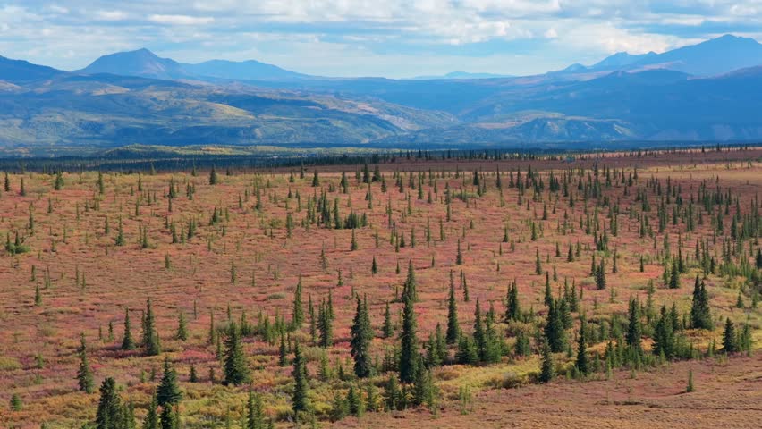 Aerial view of the landscape with sparse trees and mountains in the horizon, creating a scenic vista, Healy, Alaska, United States.
