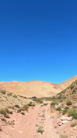 Vertical video of a car driving along a country road under blue sky. Altai desert and semi-desert environment.