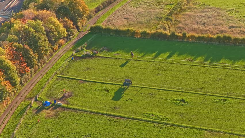 Grassy paddock in Hemingfield, Barnsley, showing three horses, colored barrels, and fenced enclosures under warm afternoon light, drone static shot