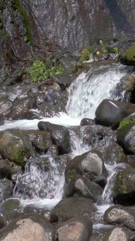Mountain stream flowing over river rocks
