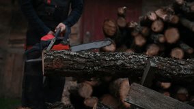 A man cuts firewood with a chainsaw. - Powered by Shutterstock - Get 15% off with code: PIKWIZARD15